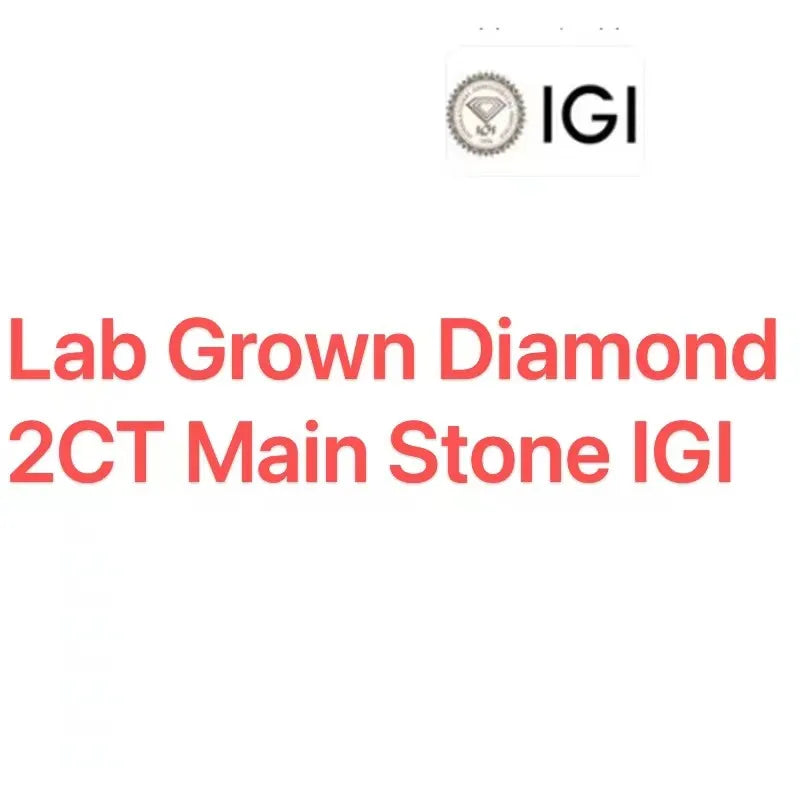 1.5CT Main Stone CVD HPHT Princess Cut Wedding Ring IGI Certified DEF VS-VVS Lab Grown Diamond 950 Platinum Ring For Lady