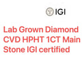 1.5CT Main Stone CVD HPHT Princess Cut Wedding Ring IGI Certified DEF VS-VVS Lab Grown Diamond 950 Platinum Ring For Lady